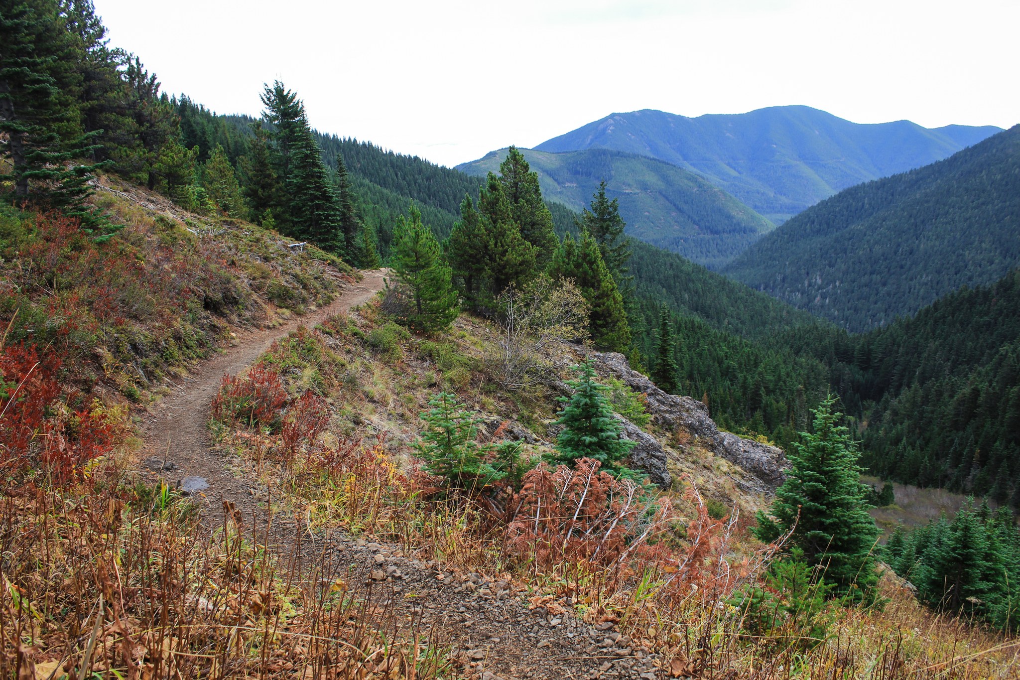 Autumn Trail by lydiadventuring.jpeg