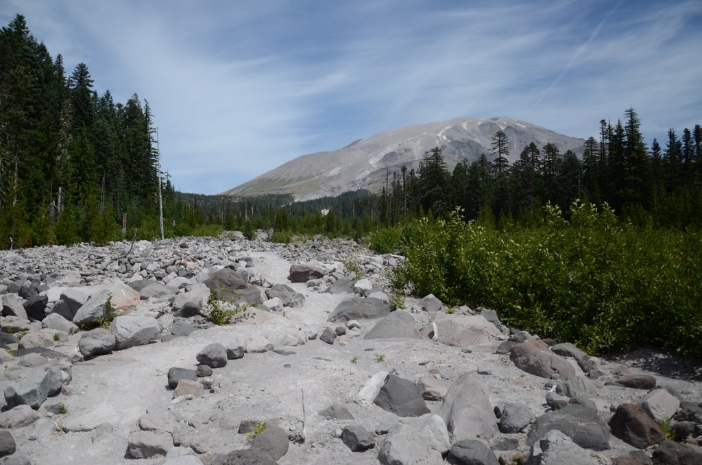 Blue Horse Trail-7.15.2015-Anna Roth.jpeg