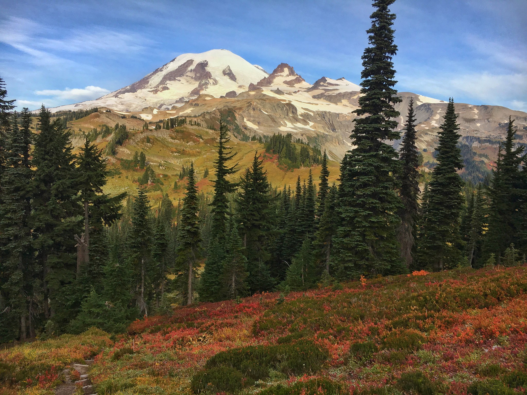 A snowcapped volcano looms in the distance behind some trees