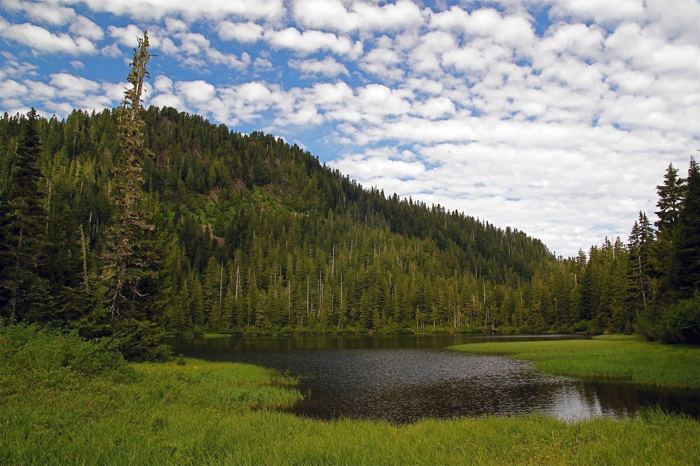 Deer Lake. Photo by Rugosus.jpeg