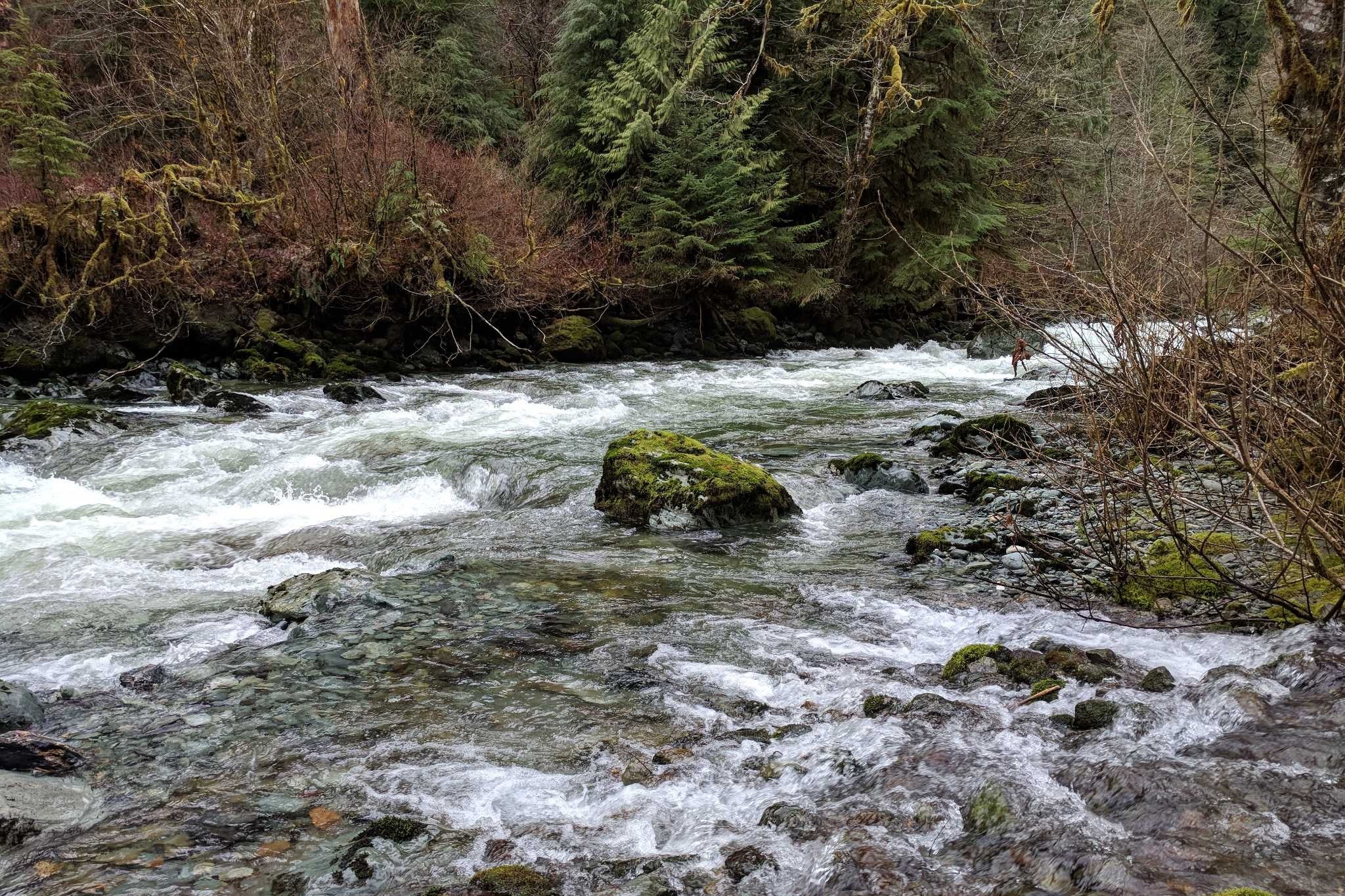 Diobsud Creek by Kristie White.jpeg