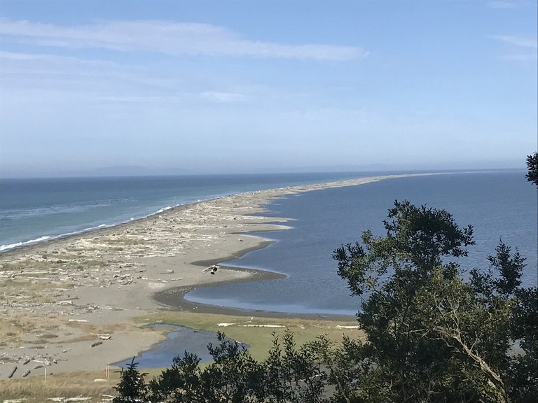 Dungeness Spit. Photo by hikingwithlittledogs.