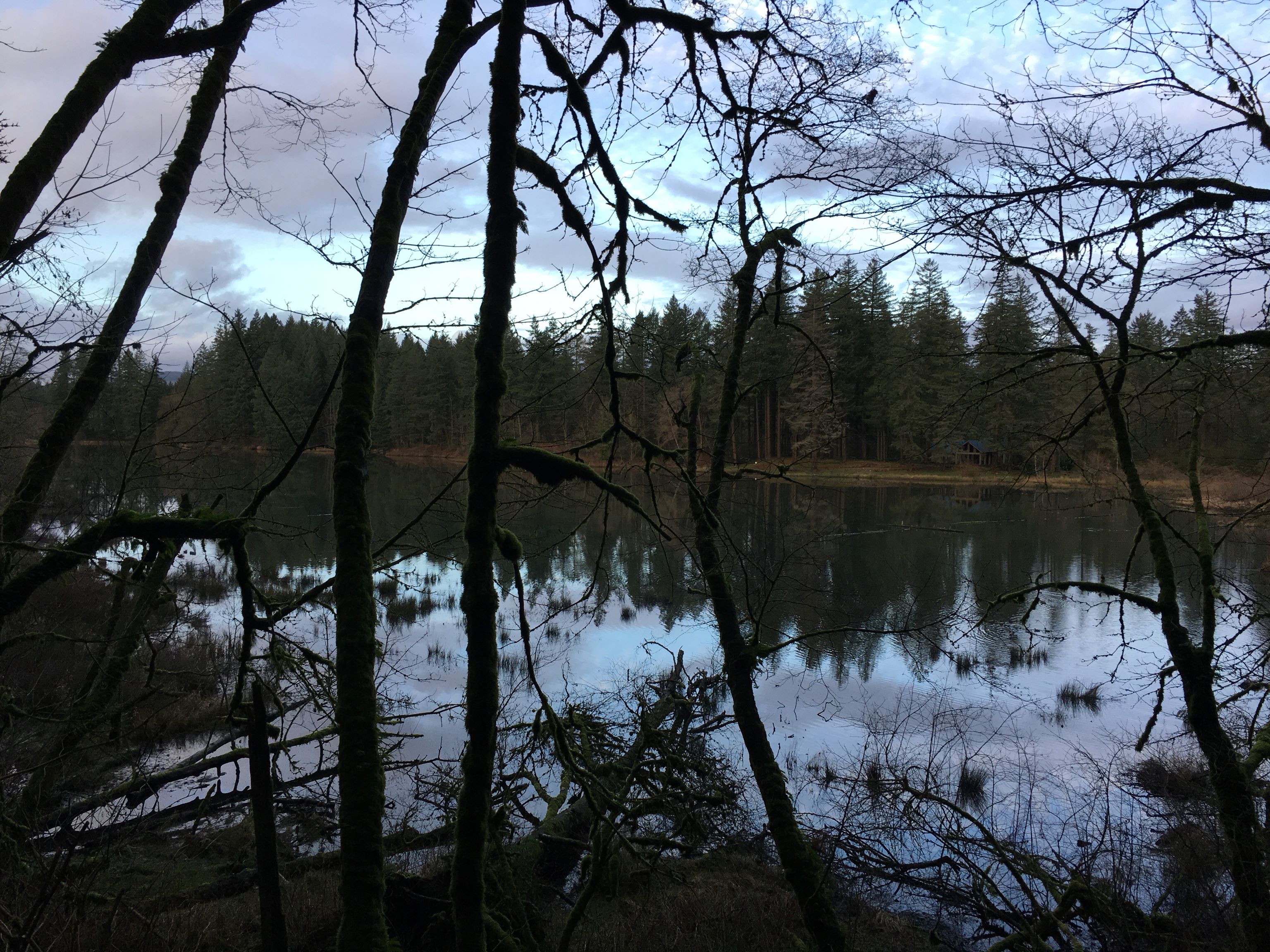 Fallen Leaf Lake on a cloudy day. Photo by todash19.