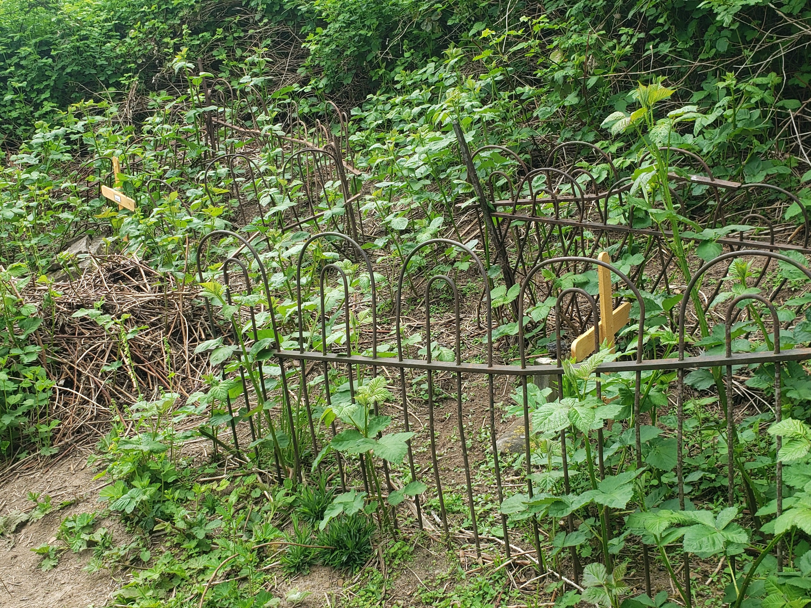 Franklin Ghost Town. Photo by Day Trekker. The cemetary metal fence at Franklin Ghost Town. Photo by trip reporter Day Trekker.