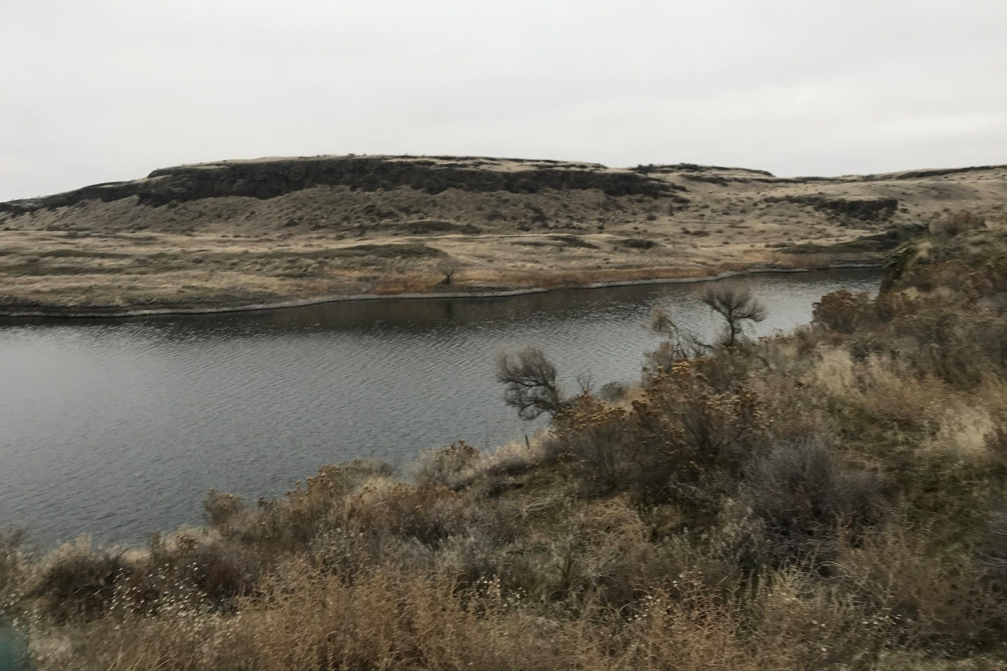 Goose Lake. Photo by scrappyjess30..jpeg