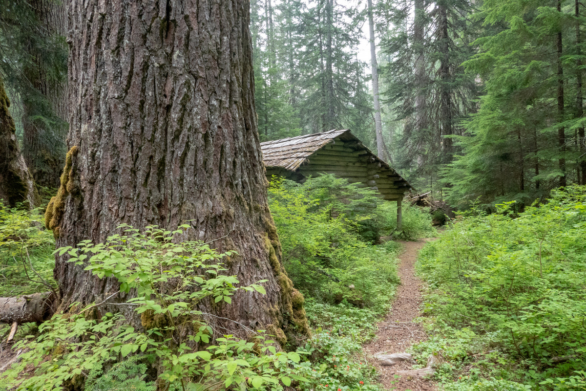 Patrol cabin in the woods on the Huckleberry Creek trail. Photo by ejain.