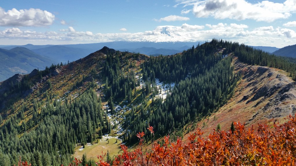 juniper ridge_Happy Hiker.jpeg