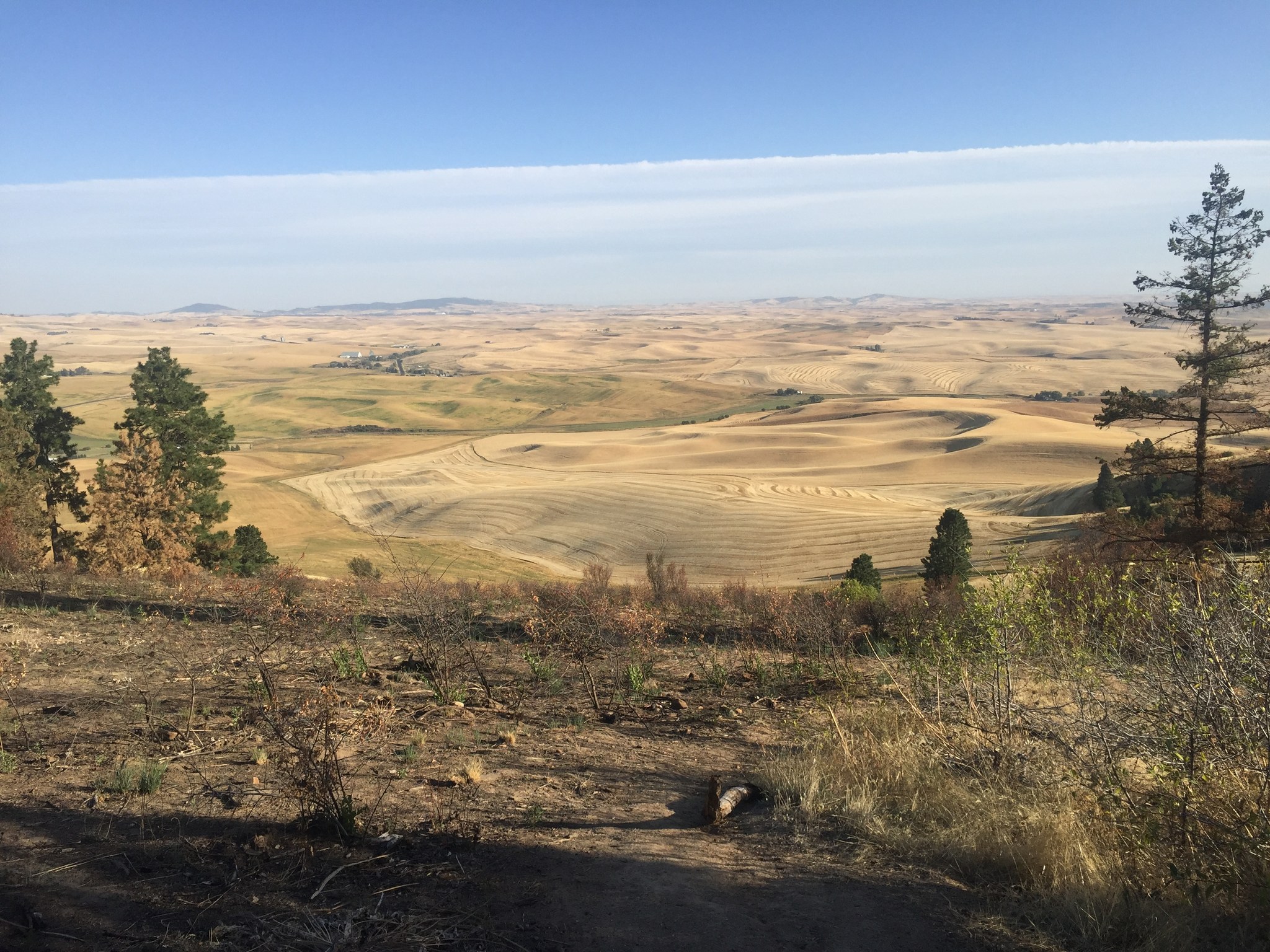 Kamiak Butte by RLucido.jpeg