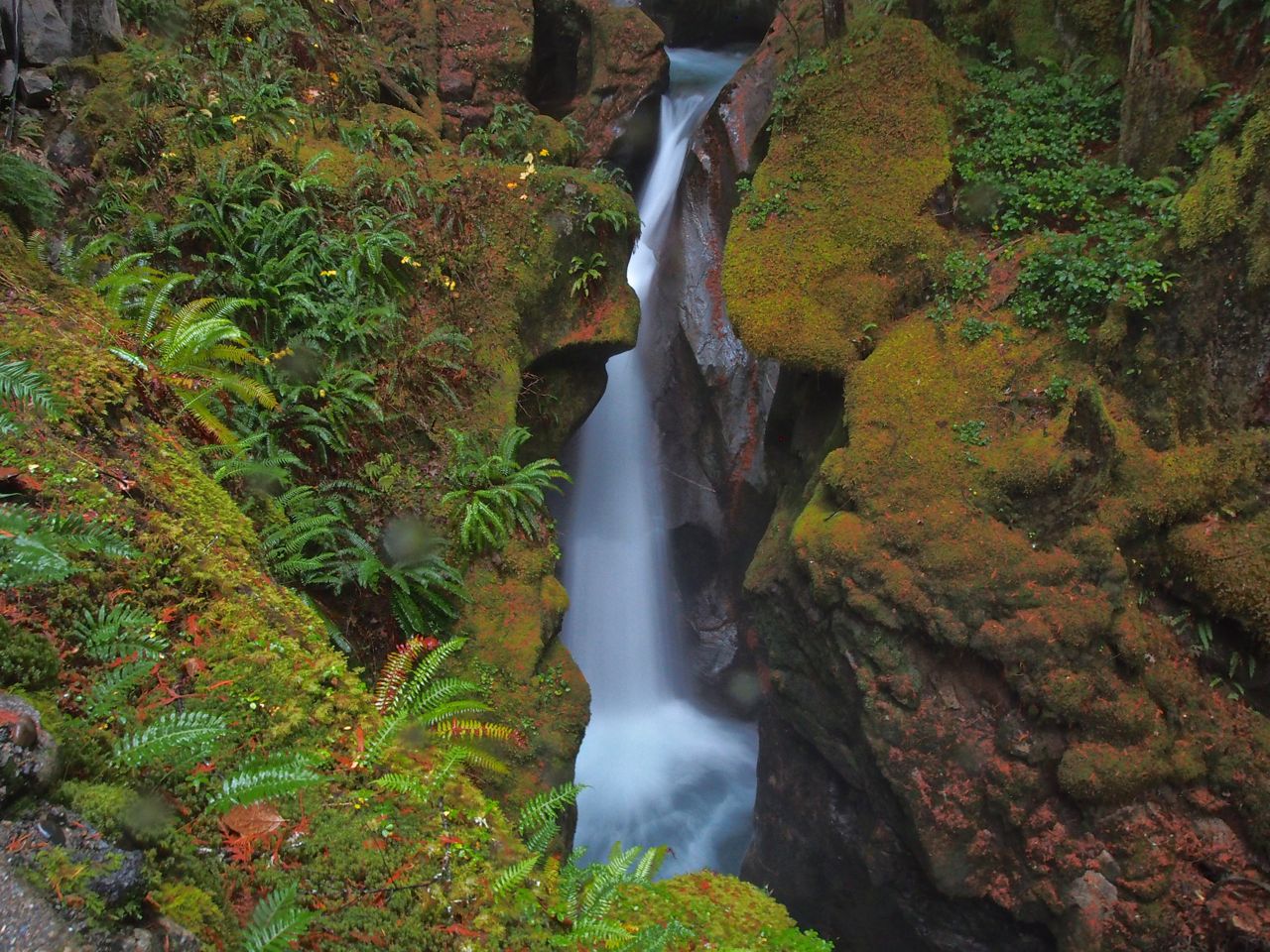 Fall colors at Ladder Creek Falls. Photo by trip reporter Bob and Barb.