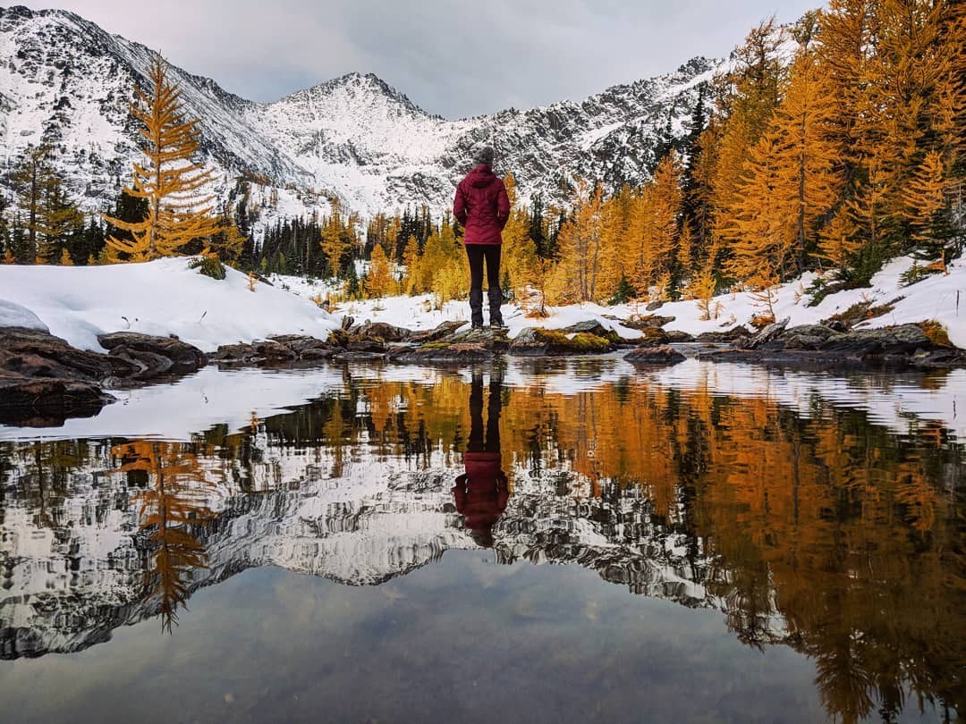A hiker stands on the edge of a snowy lake, surrounded by hills full of golden larches