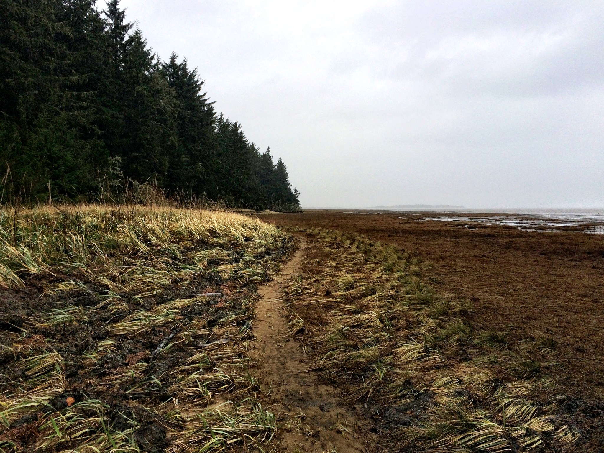 Leadbetter State Park. Photo by mountainmama.jpeg