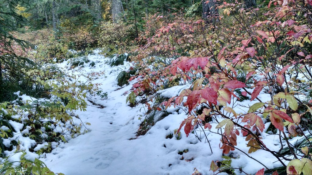 Little Huckleberry Mountain Photo by rosemarylp.jpeg
