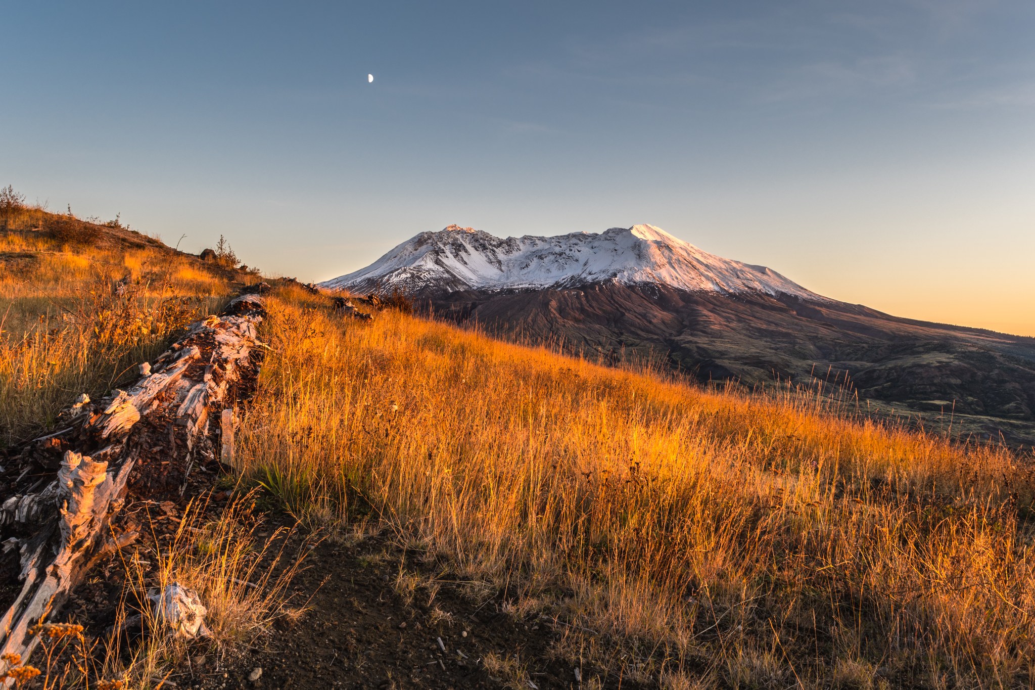 Views of Mount St. Helens from a grassy hill