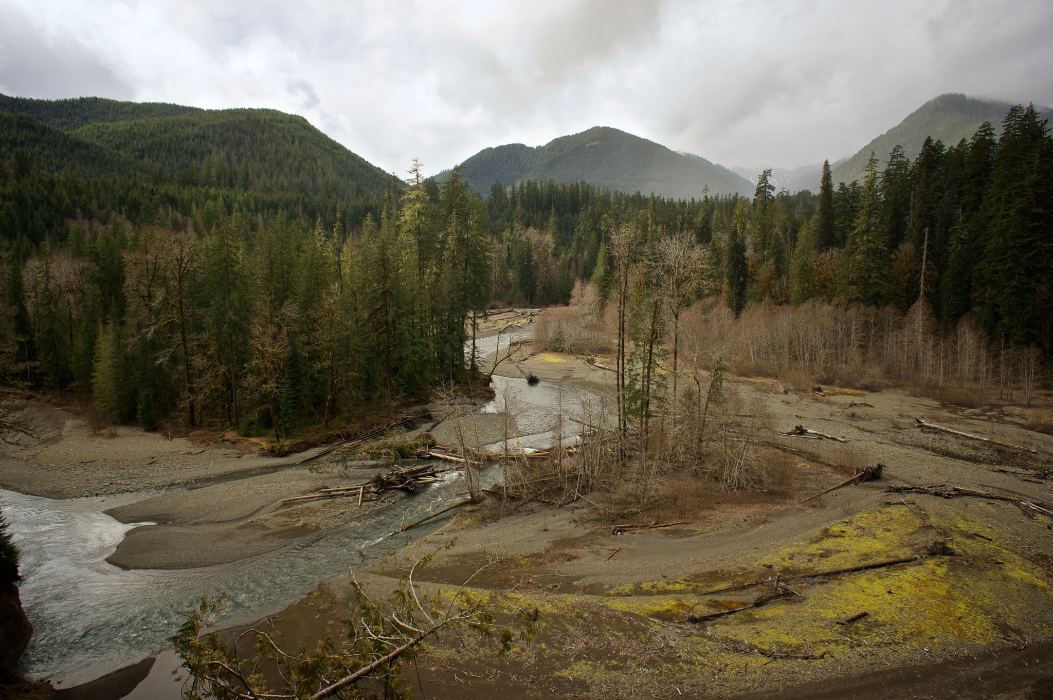 Lower South Fork Skokomish. Photo by Bright Blue..jpeg