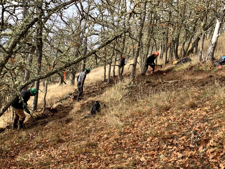 Volunteers constructing new trail.