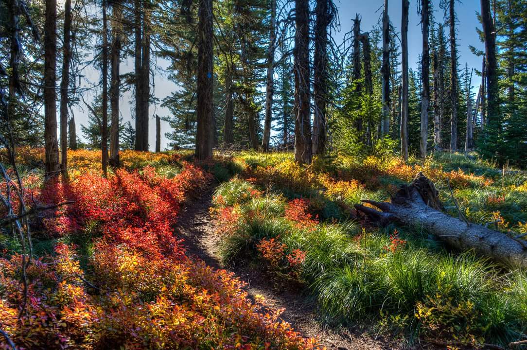 Mount Kit Carson Photo by Mark Ament..jpg