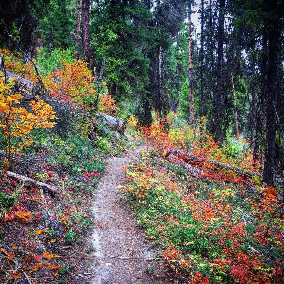 Pipsisswa Trail Photo by Billiam64.jpeg