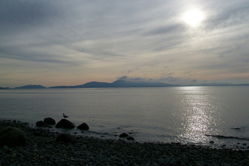 Point Whitehorn-1.29.2013-tess.jpeg