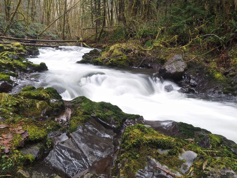 Porter Creek by Bob and Barb.jpeg