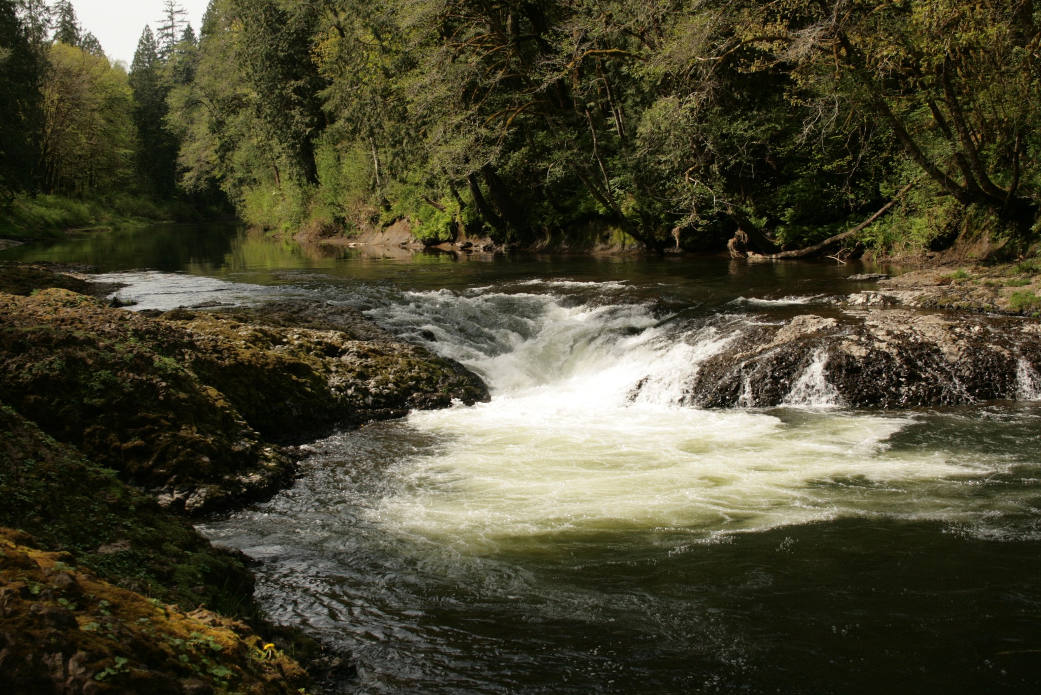 Rainbow Falls State Park. Photo by SnCSmith..jpeg