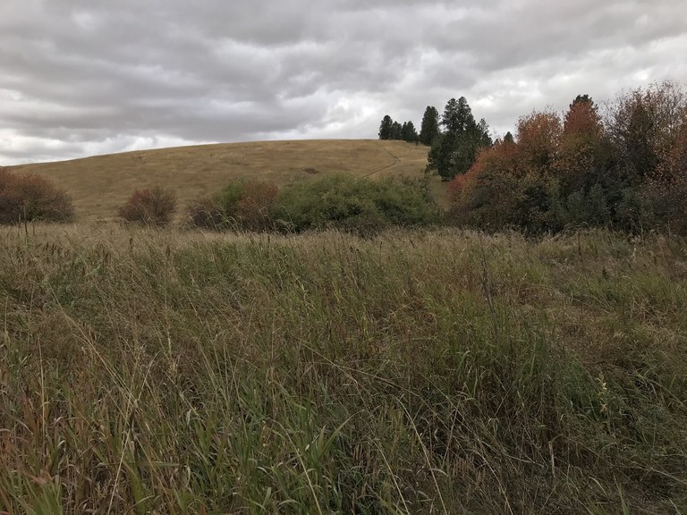 Rose Creek Nature Preserve. Photo by Cagey.
