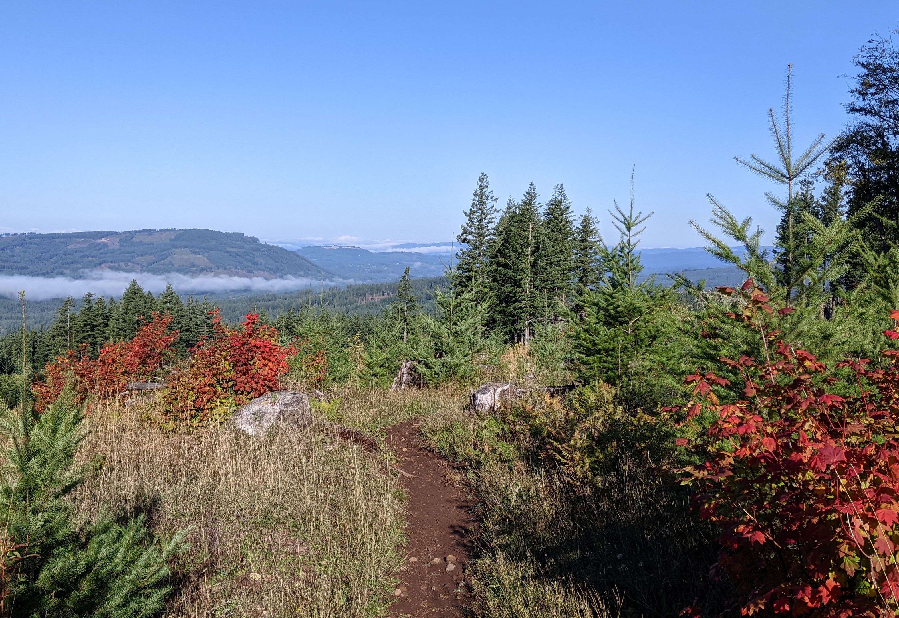 Fall colors at the top of the Silver Shadow Loop. Photo by trip reporter Windwave.