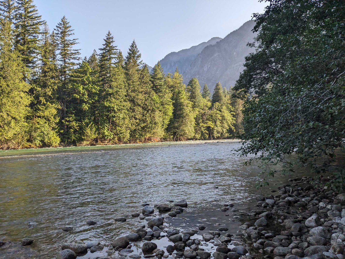 Winding river with dark round pebbles on a sunny day. Evergreen trees and mountains in the background.