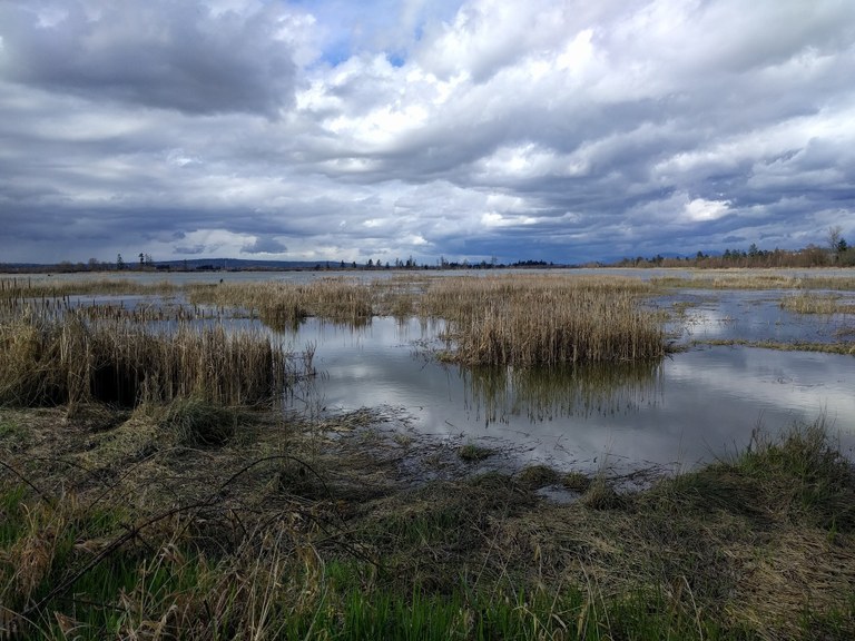 Spencer Island by science4sail.jpeg