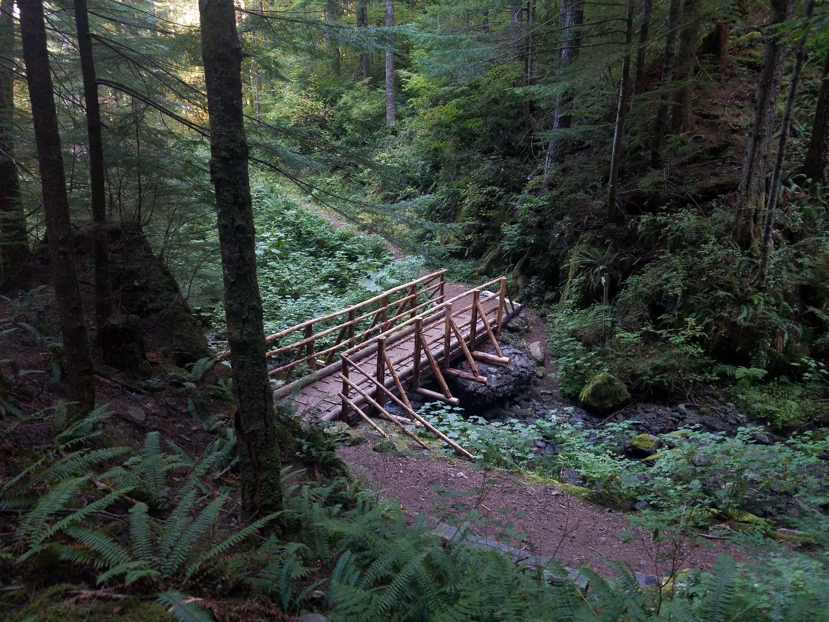 Wooden bridge on the Tarbell Trail. Photo by Solofemalehiker35.