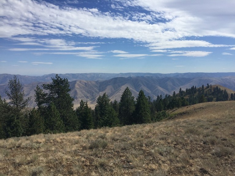 View from Puffer Butte. Photo by RLudcido.