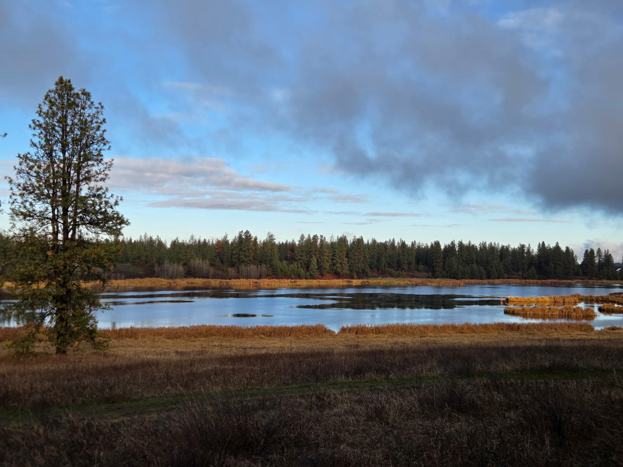 Dramatic light on Slavin Loop ponds