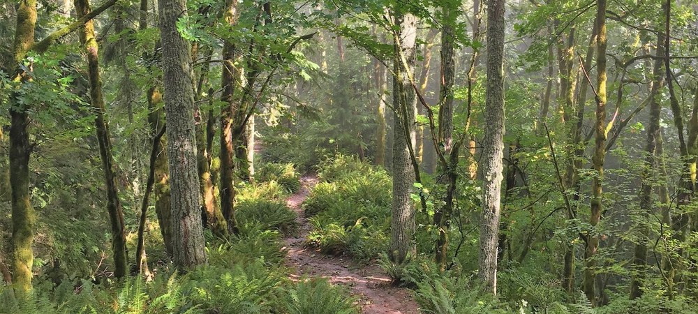 Long loops, routes and traverses