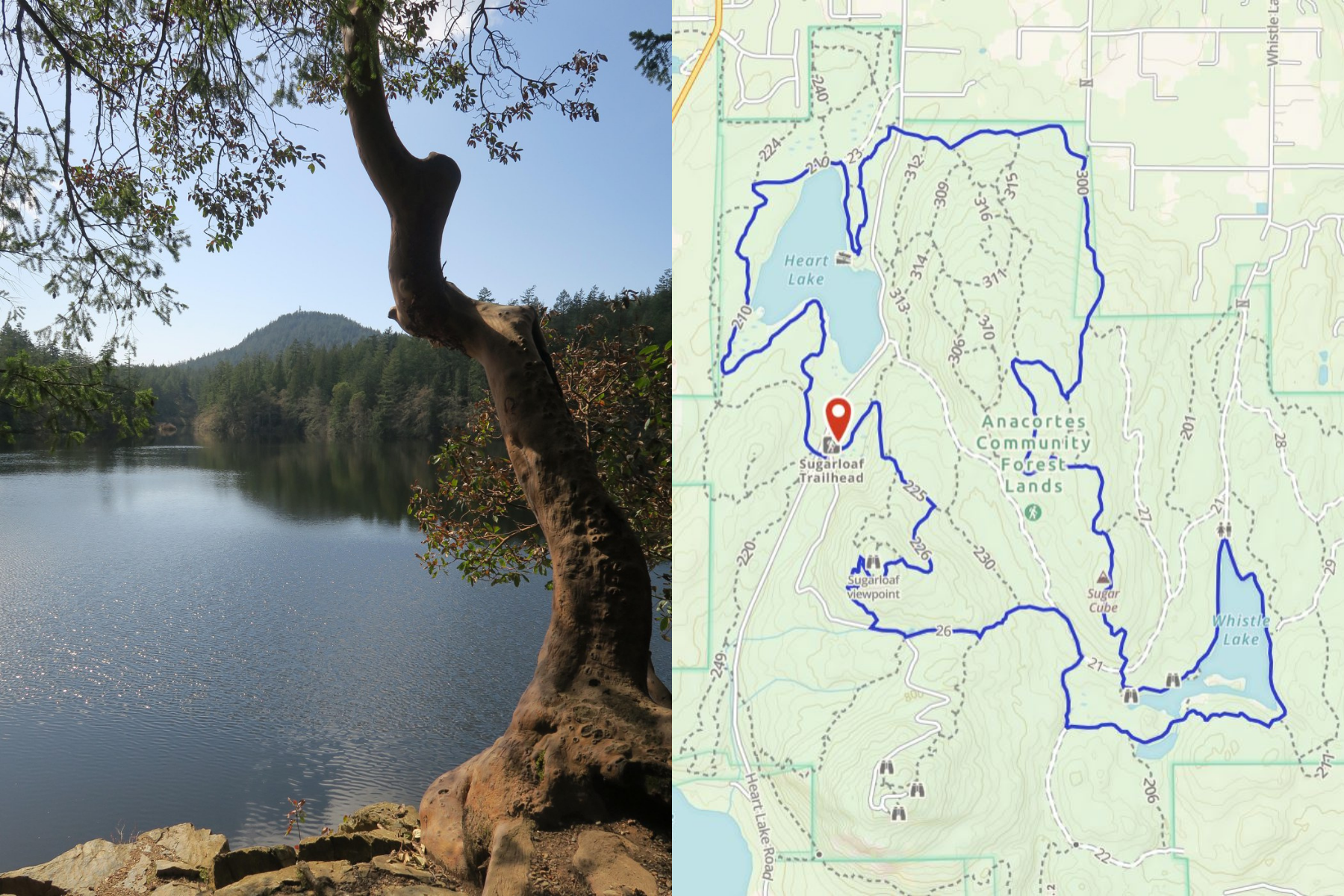 Anacortes Community Forest