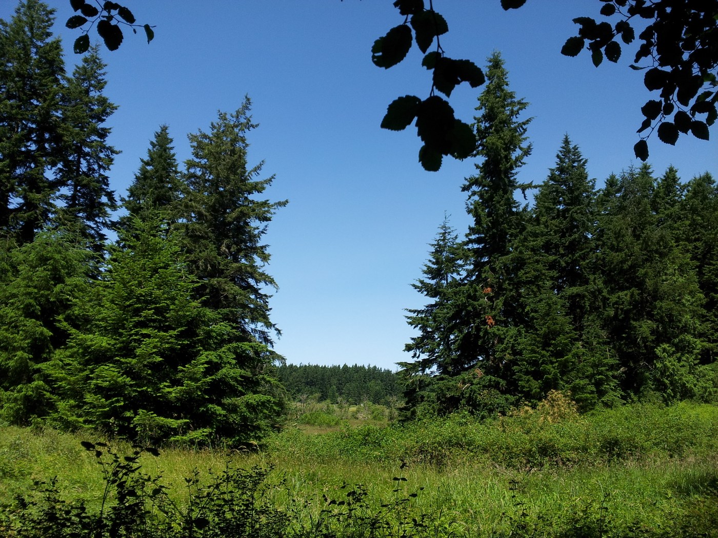 Anderson Lake State Park. Photo by batman and wakerobin..jpeg