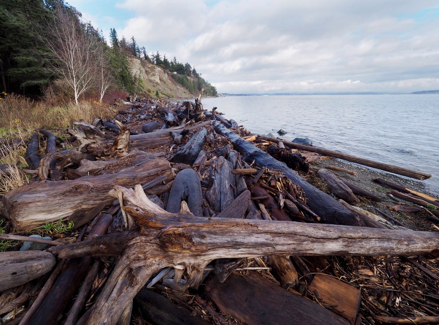 Barnum Point