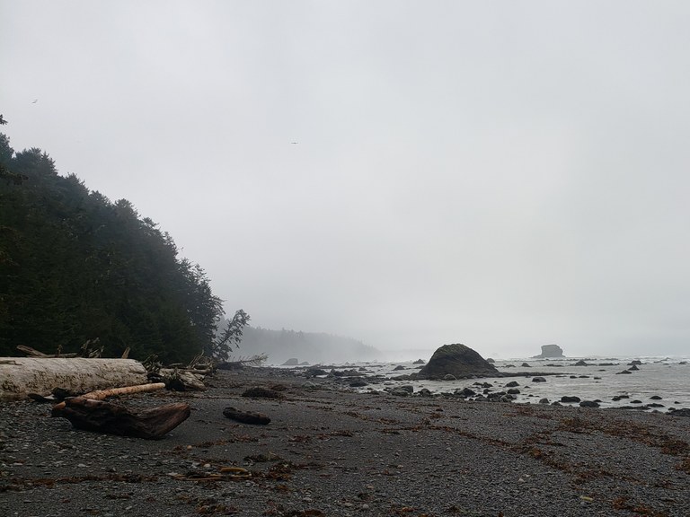 Cloudy day at Cape Alava Beach A wintry sky over the beach at Cape Alava