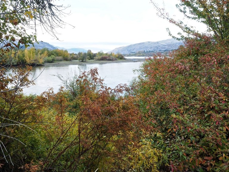 Confluence of the Wenatchee and Columbia Rivers. Photo by Bob and Barb..jpeg Confluence of the Wenatchee and Columbia Rivers. Photo by Bob and Barb..jpeg