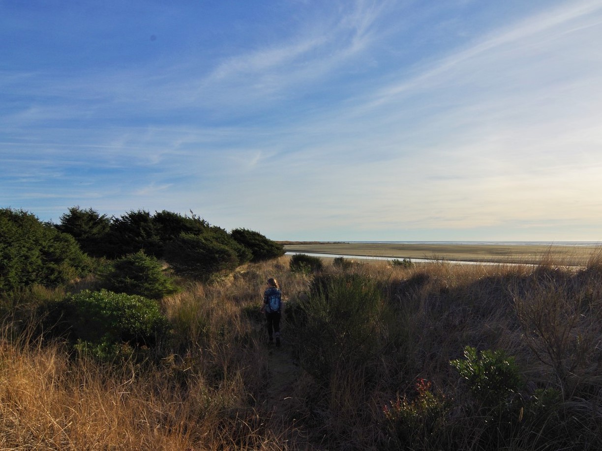 Copalis River Spit