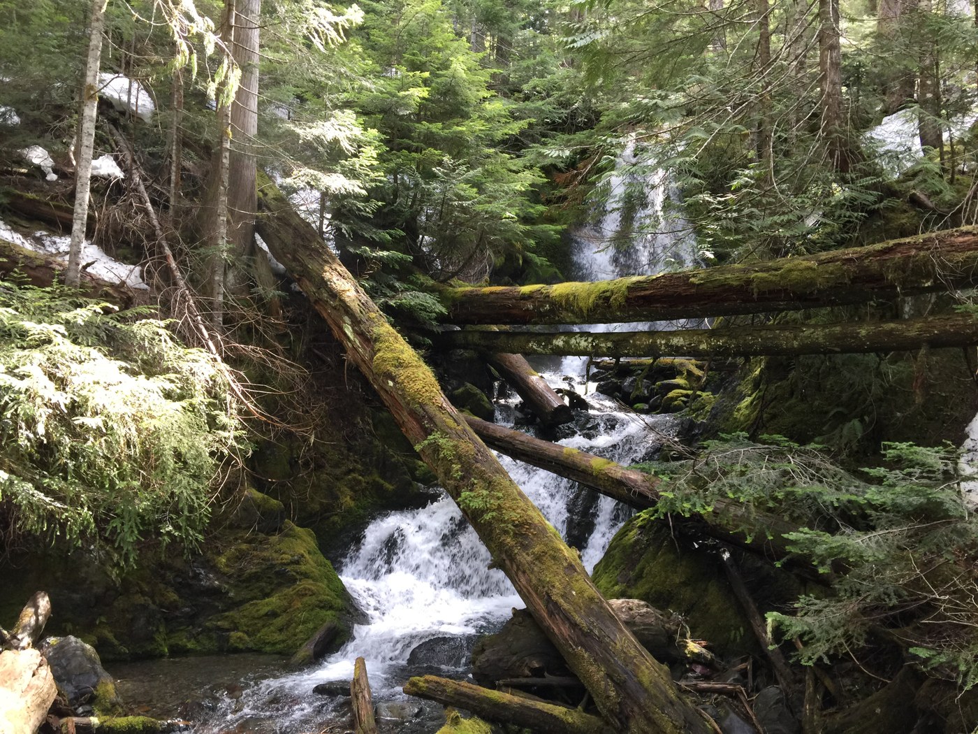 A waterfall crashes through a river choked with boulders and fallen trees. Photo by HermitThrush. 