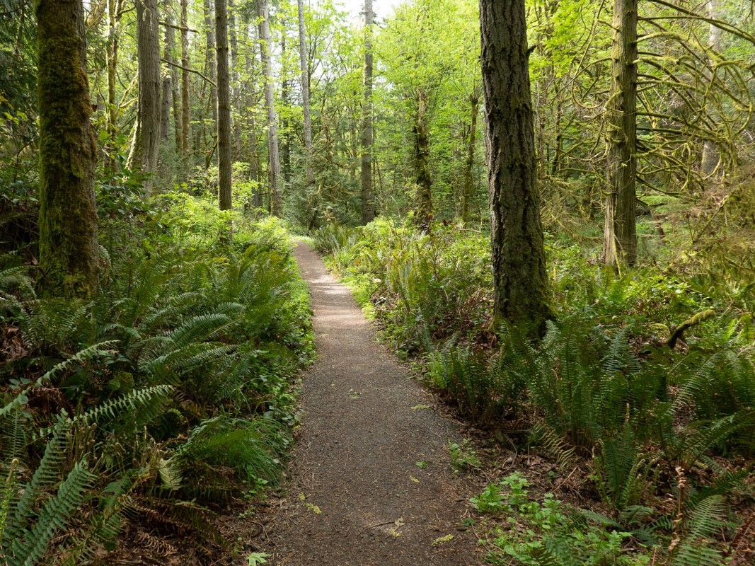Fort Ward Park