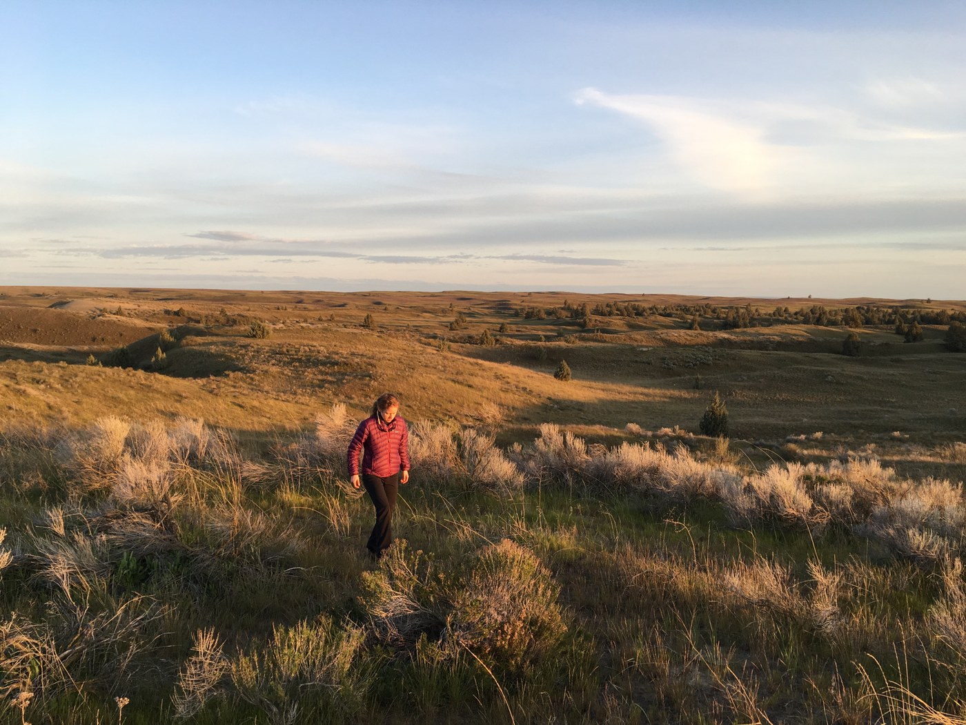 Juniper Dunes Wilderness