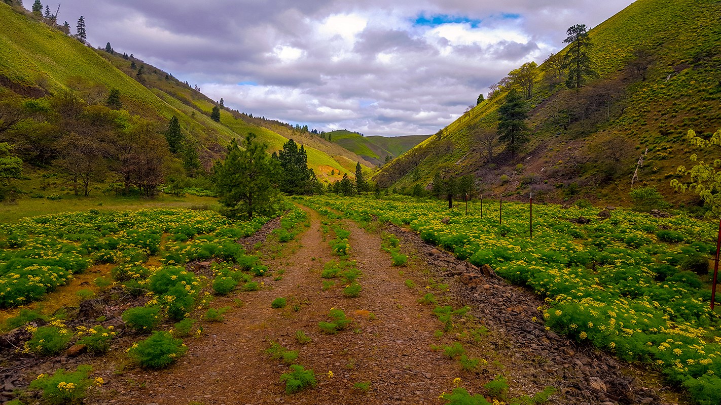 Klickitat Rail Trail by E Jarvinen.jpeg