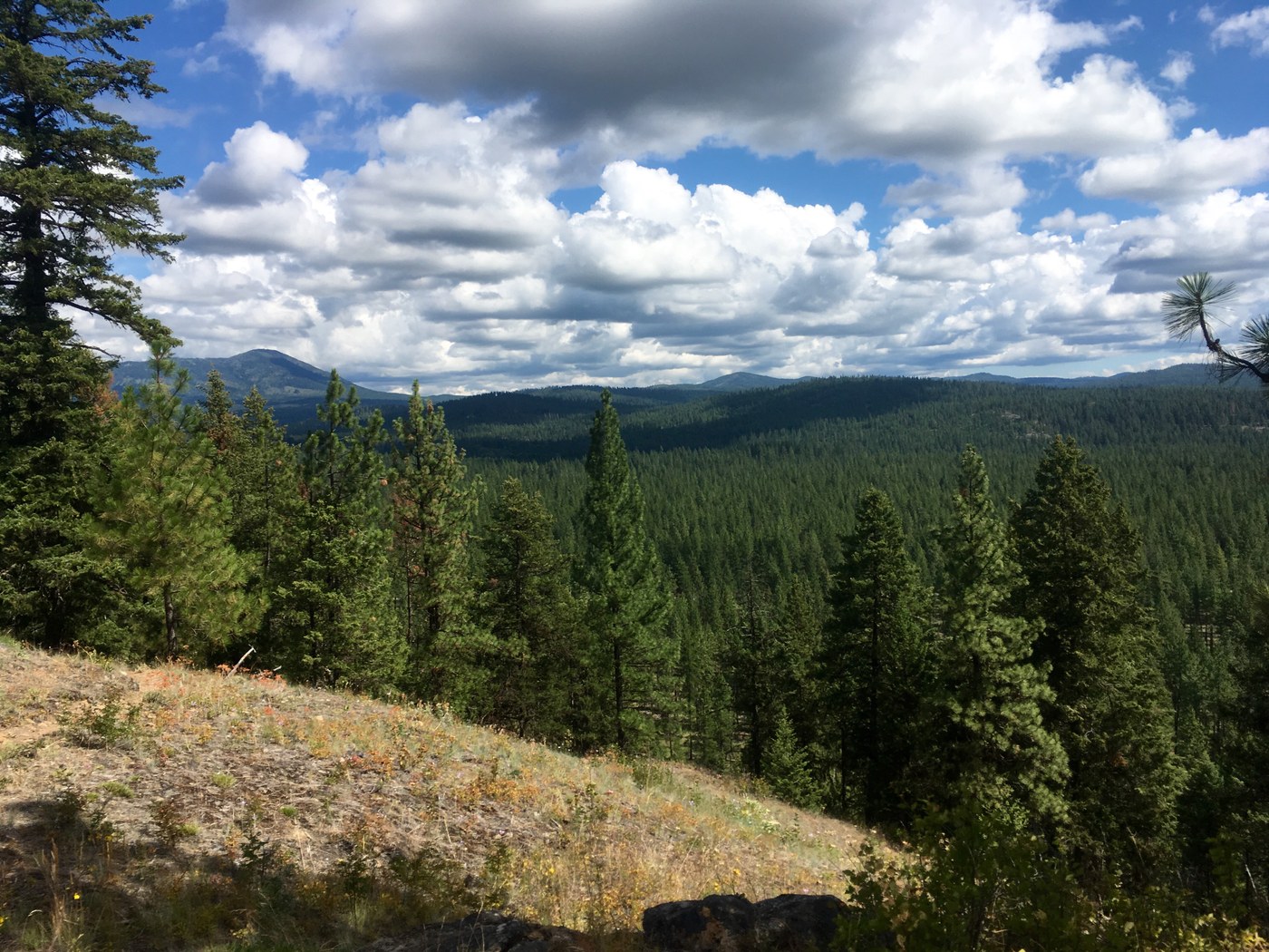 Little Pend Oreille National Wildlife Refuge