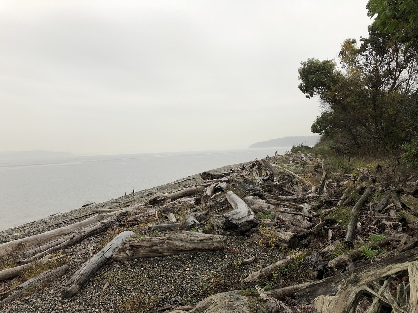 Maury Island Marine Park