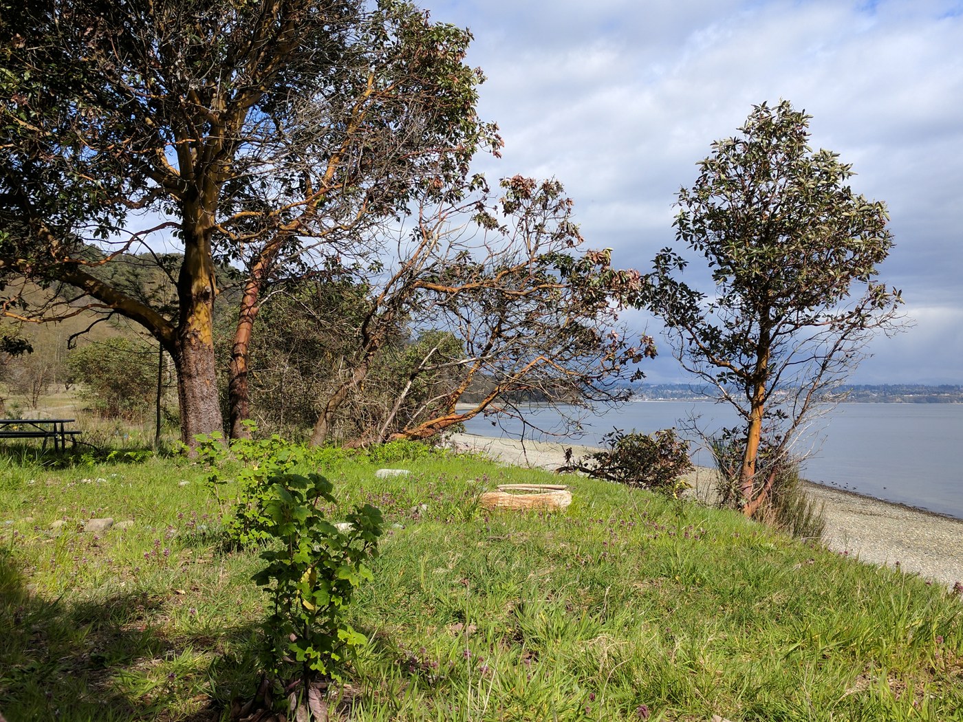 A view out to the Puget Sound from Maury Island.