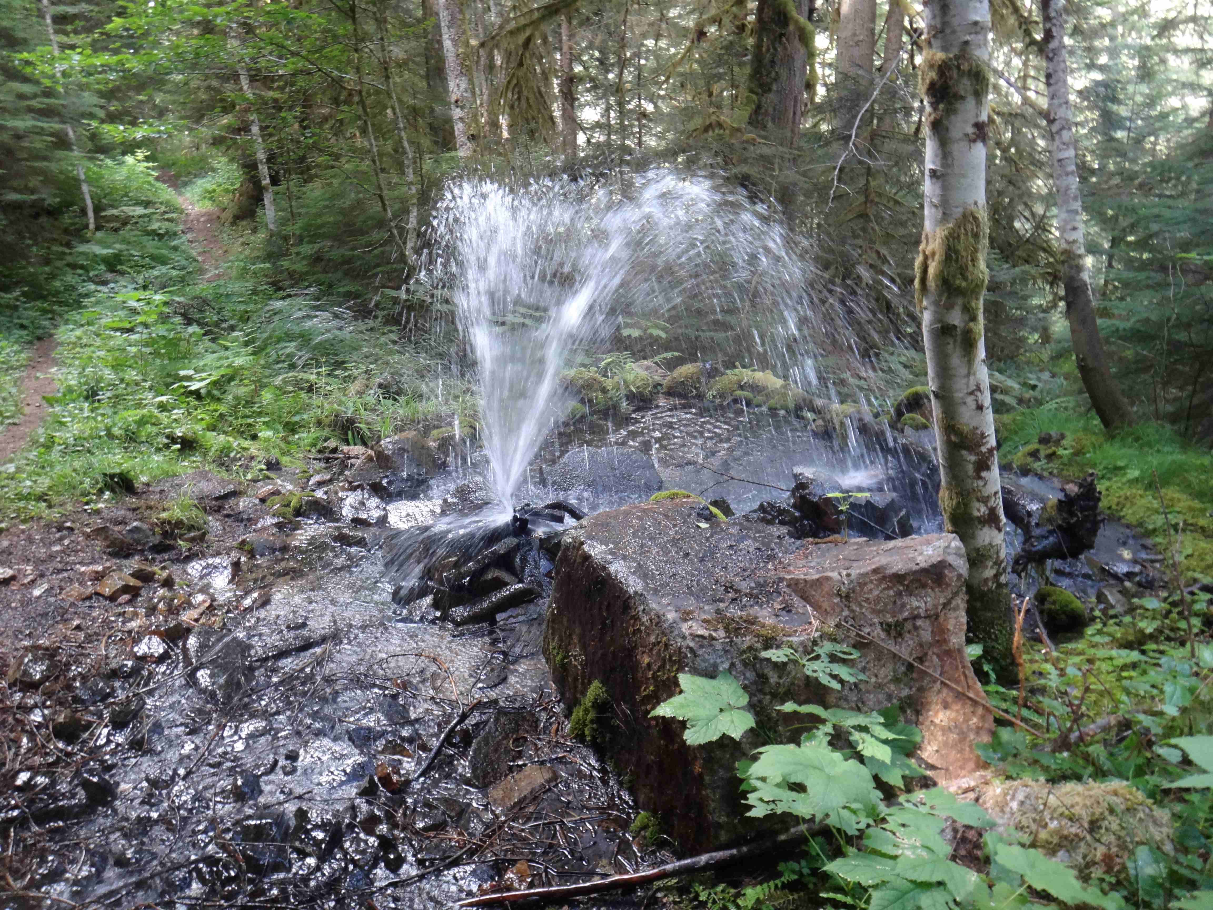 Water spraying like a fountain from a rusty pipe on the Middle Fork Snoqualmie River trail. Photo by D.J.