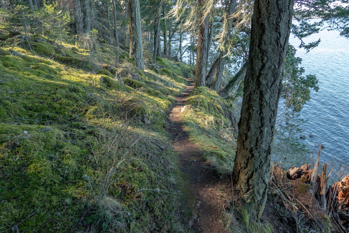 Mount Finlayson