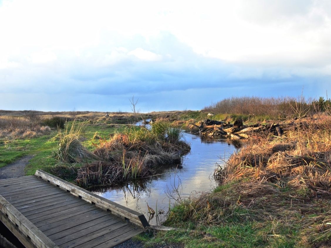 A small bridge crossing over to the dunes along the Pacific Coast.