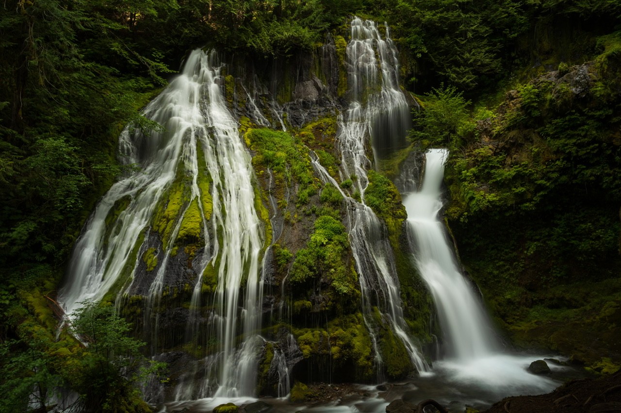 Sevaral different streams of water flow over a moss-covered rock face. Photo by terradactyl. 