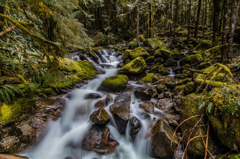 Pratt River by Mirek.jpeg